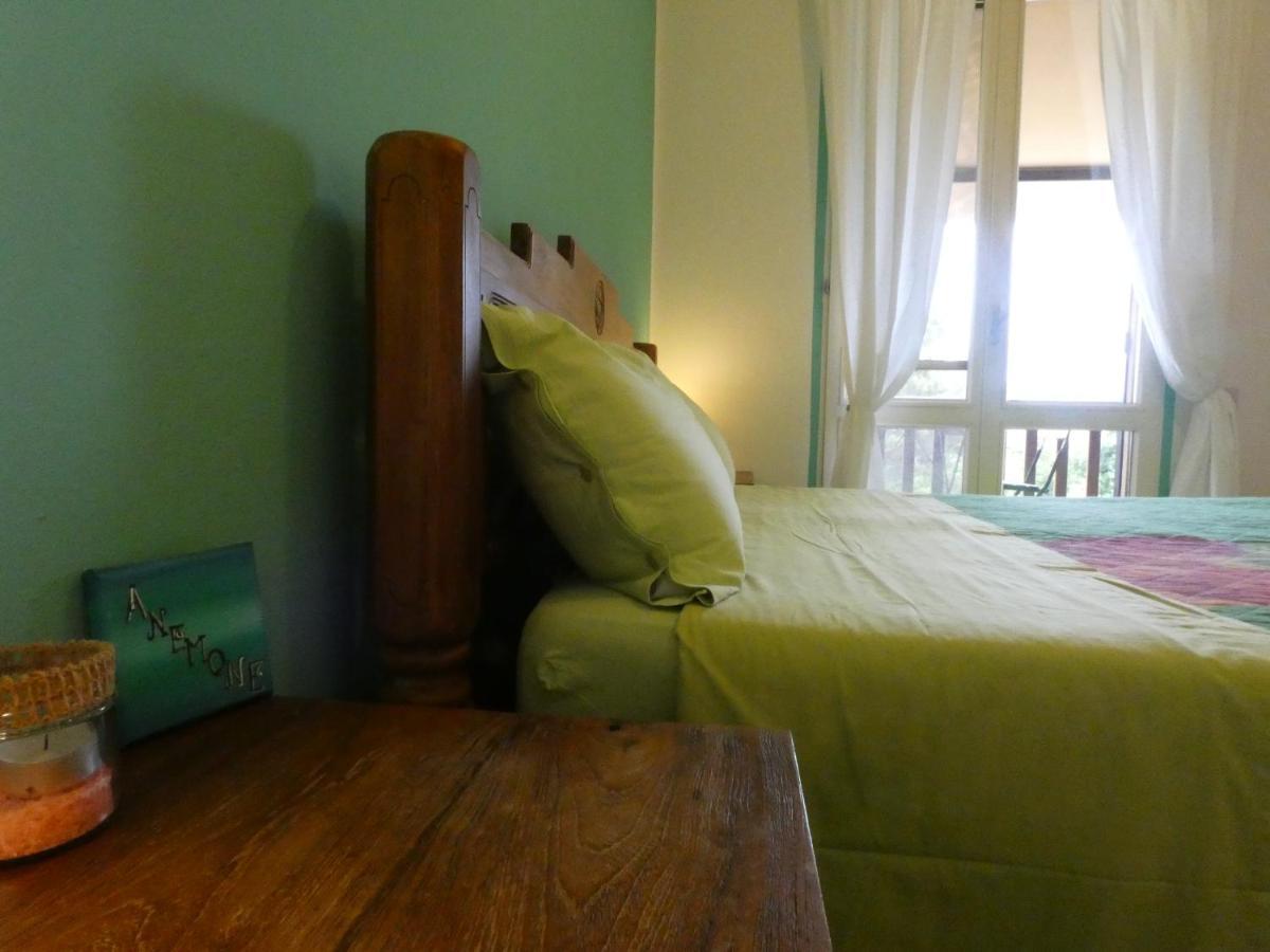 B&B Mrcaruba Стинтино Экстерьер фото