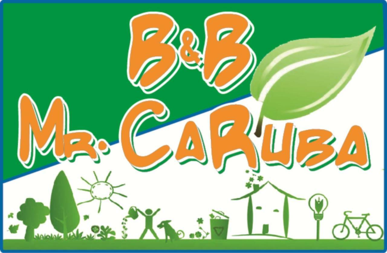 B&B Mrcaruba Стинтино Экстерьер фото