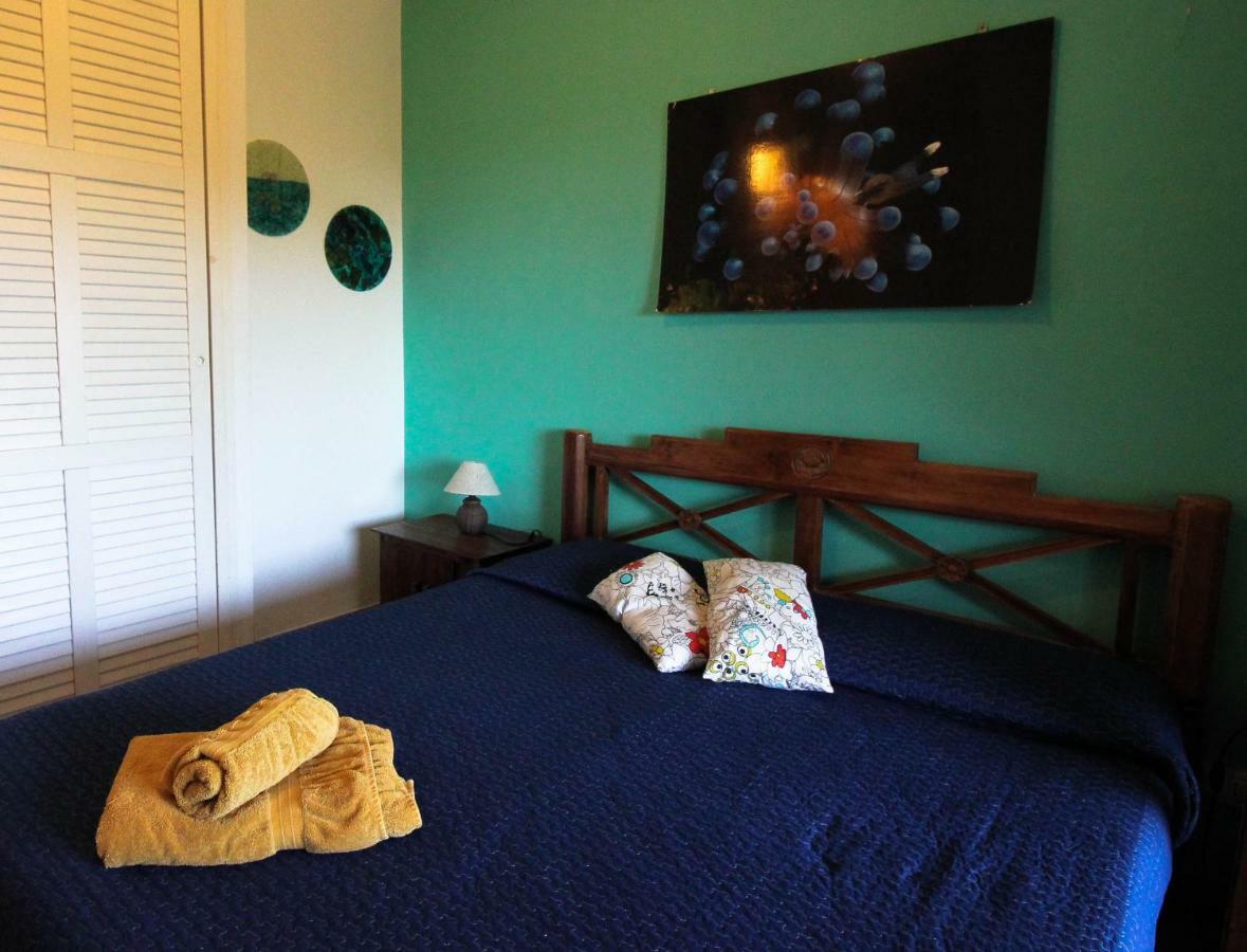 B&B Mrcaruba Стинтино Экстерьер фото